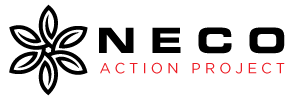 Neco Action Project